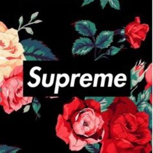 Meet your Posher, Coryn